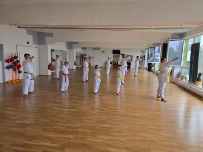 Biomechanik des Karate-Tsuki